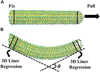 Coarse-Grained Simulation of Mechanical Properties of Single Microtubules With Micrometer Length